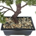thumbnail image 3 of Vickerman 12" Artificial Potted Pine Bonsai Tree., 3 of 8