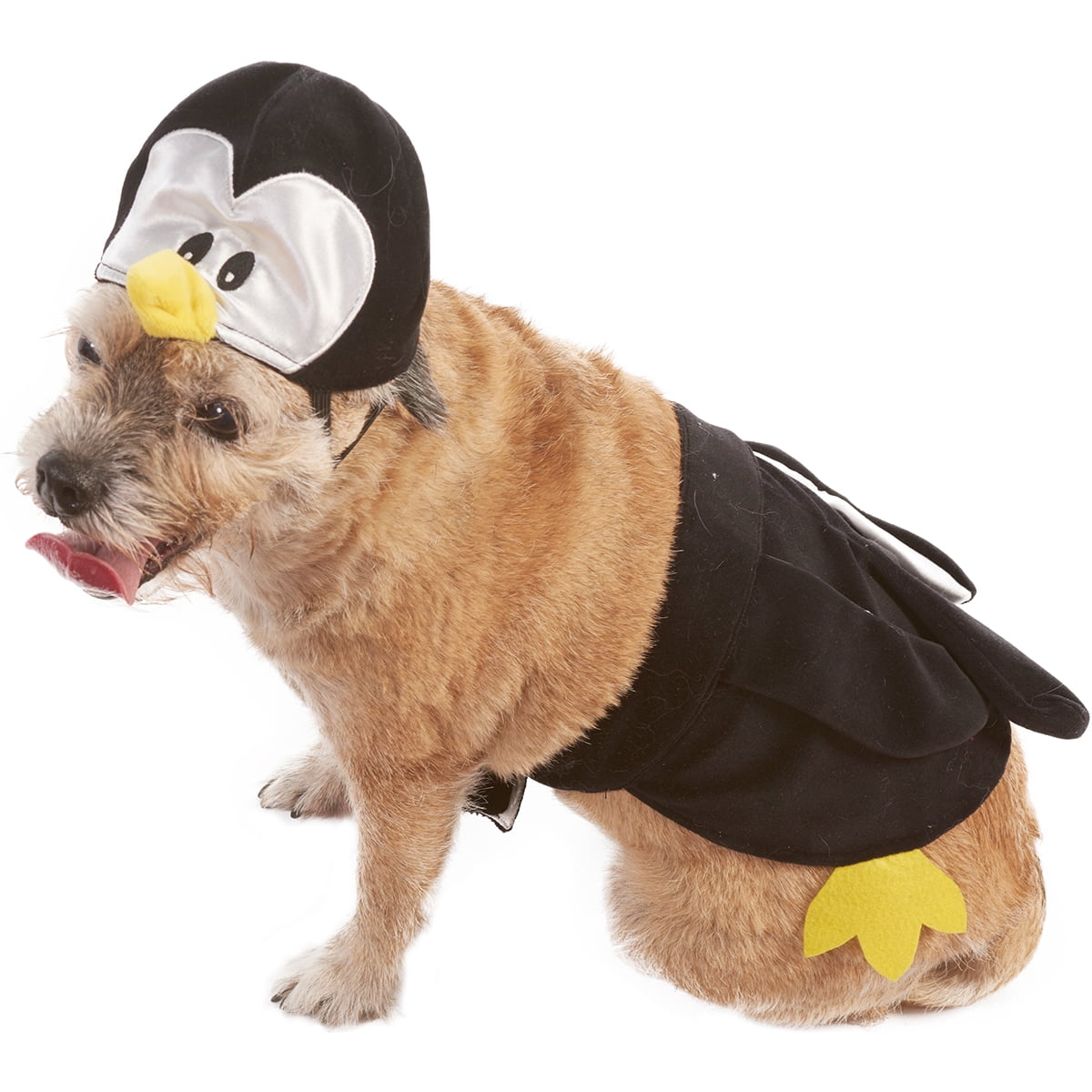 dog penguin costume