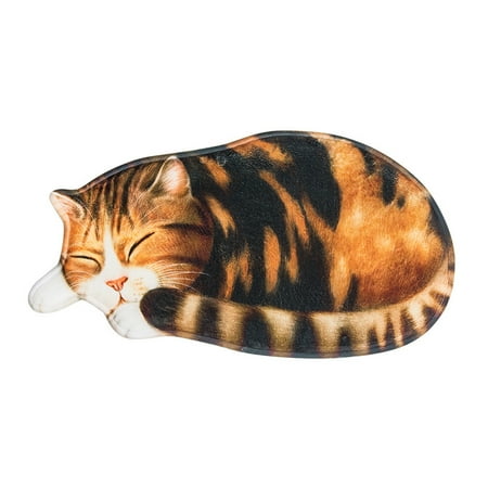Chatons Adorent Dormir Tapis Tapis De Chat Mignon 3d Tapis De Porte Irregulier Tapis D Entree