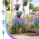 thumbnail image 1 of Plantas de lavanda artificial - Decoración de boda con césped primaveral con 9 tallos, flores falsas moradas de 16,54" para salón, mesa de comedor y patio exterior, 1 of 6