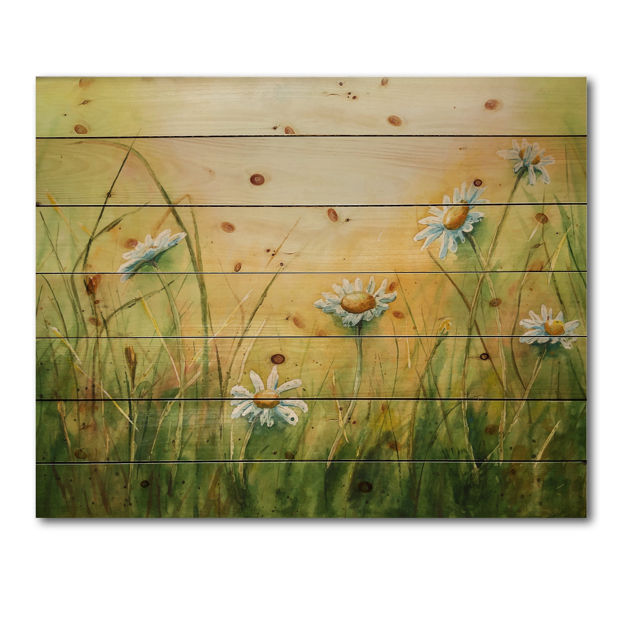 Designart 'Sunset Field With Herbs and Chamomiles' Traditional Print on Natural Pine Wood