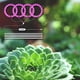 thumbnail image 3 of Angel Grow Light para semillas de plantas de interior, plántulas de claro D Cola Grow Light, 3 of 8