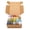 Box 1, variant on Anti-Pilling Everyday DK Color Pack 2197-01 - Box 1