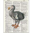 thumbnail image 2 of Dodo Bird - Dictionary Art Print Printed On Authentic Vintage Dictionary Book Page - 8 x 10.5, 2 of 3