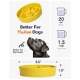 thumbnail image 3 of Dog Bowl LE TAUCI, alimentador lento de cerámica, 350 ml, para razas pequeñas, 3 of 5