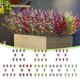 thumbnail image 1 of Xihbxyly Plantas Artificiales de Lavanda, Diseño Realista de Vegetación, Plástico Duradero, Perfectas para Bodas En Casa y Terrazas, Decoración Multiusos, Juego de 10 Piezas, 35 Cm, 1 of 7