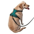 thumbnail image 2 of Balery Teal Arnés para Perros Grandes Antitirones, Arnés con Correa para Gato, Arnés Tipo Chaleco para Perros Pequeños-Large, 2 of 6