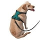 thumbnail image 2 of Balery Teal Arnés para Perros Grandes Antitirones, Arnés con Correa para Gato, Arnés Tipo Chaleco para Perros Pequeños-X-Large, 2 of 6