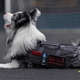 thumbnail image 4 of Arnés táctico para perros ONETIGRIS, transpirable, sin tirones, para perros medianos, 4 of 6