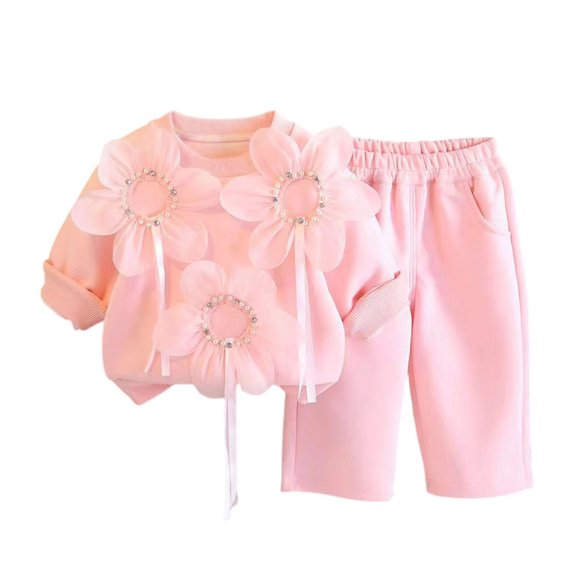 Atogsazn Toddler Baby Girls Clothes Set Newborn Bow Long Sleeve Sweatshirt & Wide Leg Pants Outfit 2 Piece Outfits Pink 0-1Years Fashion