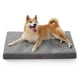thumbnail image 1 of Cama ortopédica para perros Bedsure, 89 x 56 cm, grande, funda lavable, 1 of 7