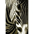 thumbnail image 3 of Lawhorn, Courtney 17x24 Black Modern Framed Museum Art Print Titled - Zebra Head, 3 of 5