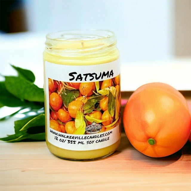 Satsuma Vegan Coconut Soy 12 oz/ 355 ml Candle Hand-poured, Eco-friendly, Clean Burning, Fruity