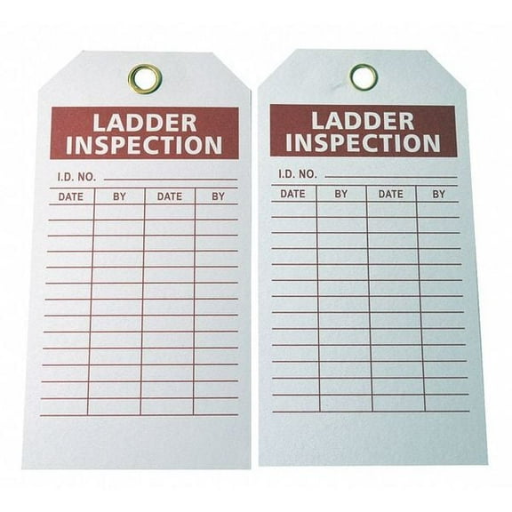 Tag, Ladder Inspection, Polyester, 3 in H x 5 3/4 in W, White, Rectangle, 100 PK