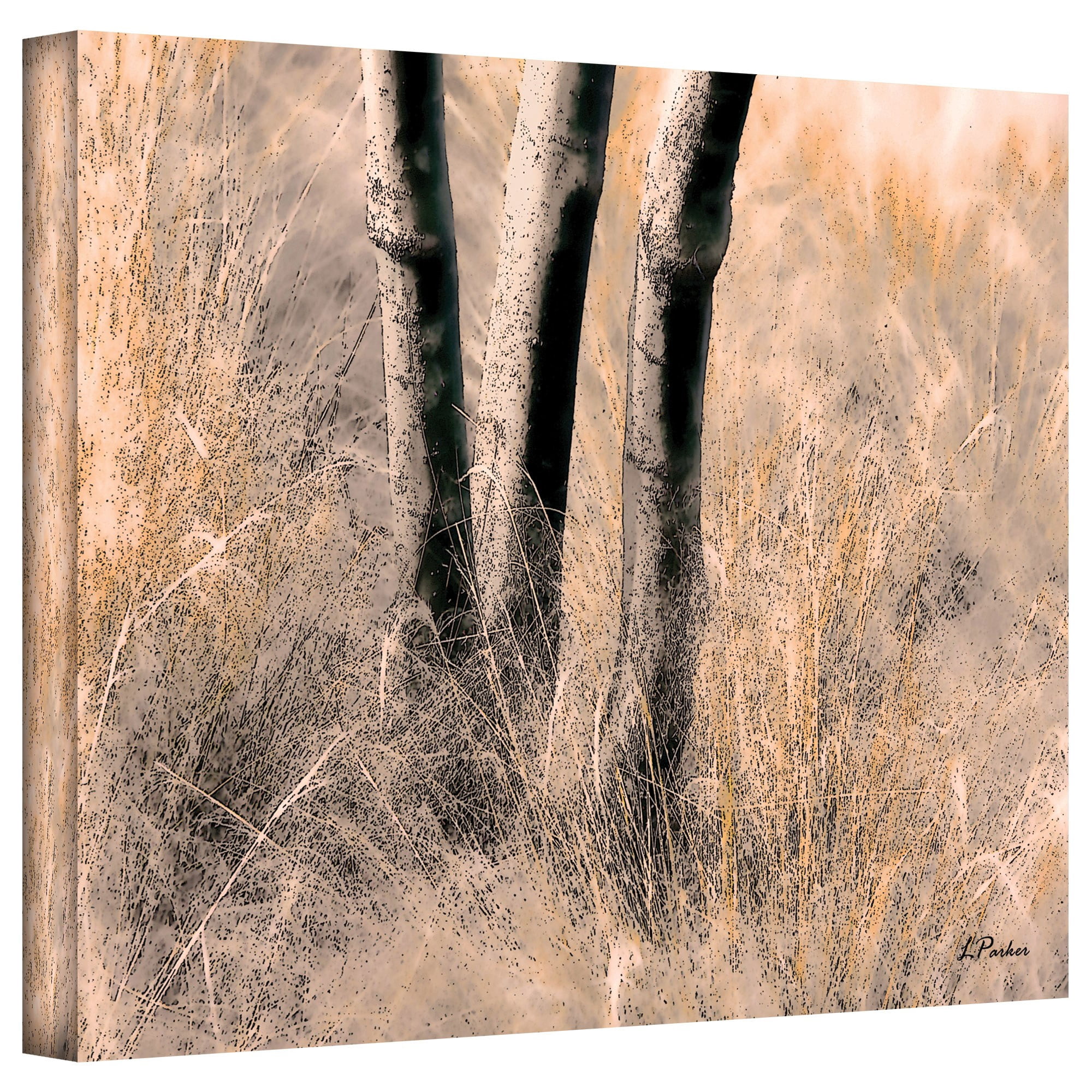 Linda Parker "Desert Grasses II" Gallery-Wrapped Canvas