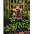 thumbnail image 2 of Carolines Treasures SC9538GF Irish Setter Fall Leaves Flag Garden Size, 2 of 3