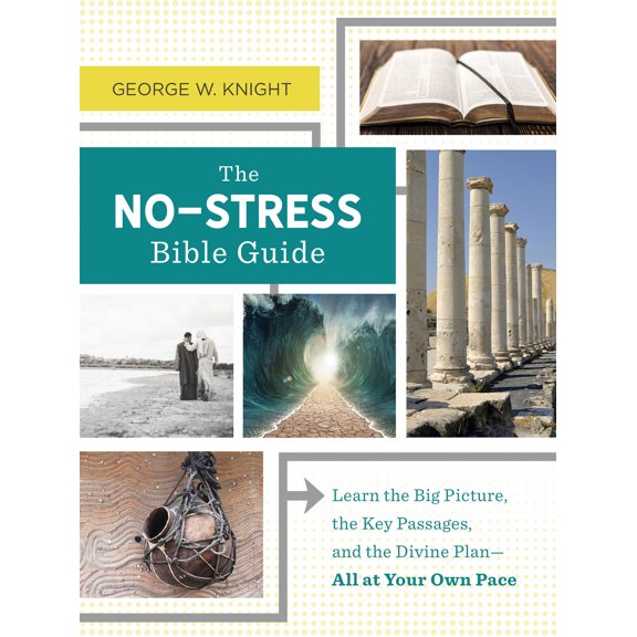 The No-Stress Bible Guide : Learn the Big Picture, the Key Passages, and the Divine Plan—All at Your Own Pace (Paperback)
