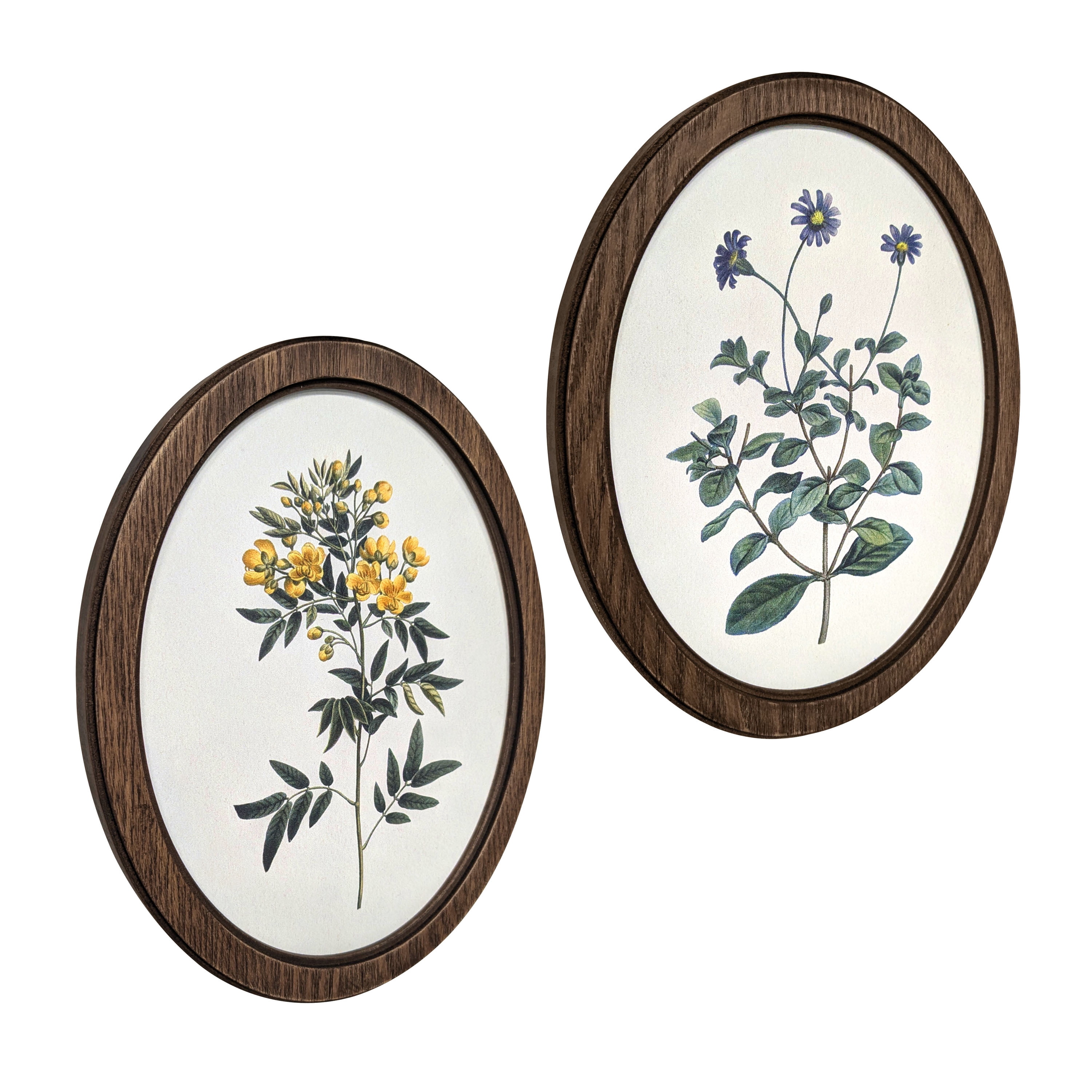 Bradley & Ballard Heirloom Botanical Oval Framed Wall Art Set, 2 Pieces, 8x10 Inches