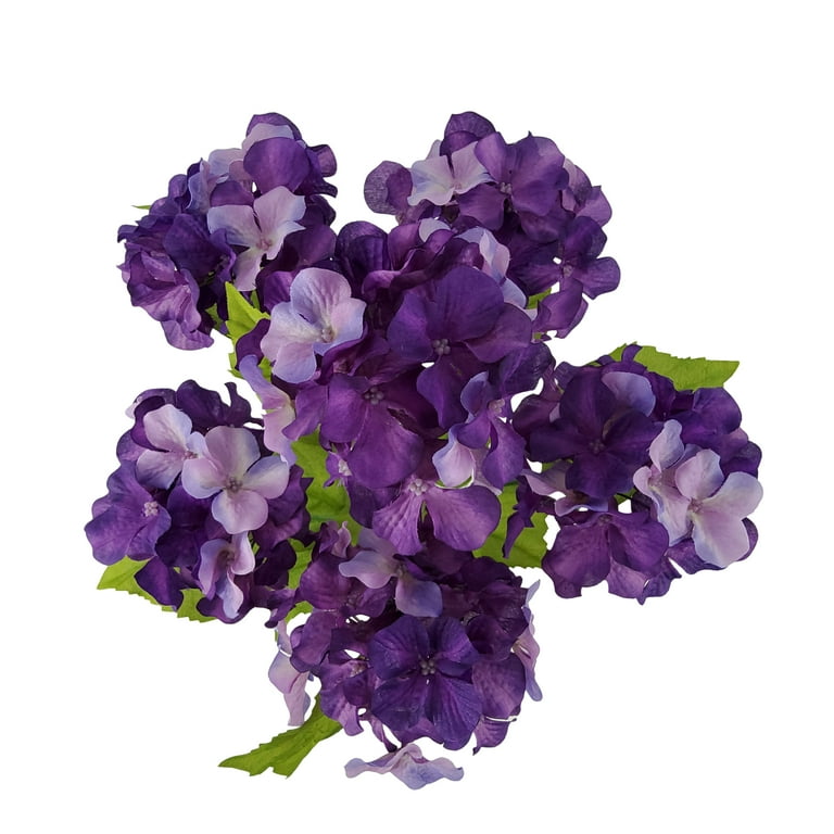 ◆Hydrangea4936◆ Endless Summer 1 gal. Potted Bloomstruck Hydrangea Shrub at