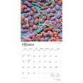 thumbnail image 3 of Microscopic World of Innerspace | 2026 12x24" (Hanging) Wall Calendar | BrownTrout, 3 of 9