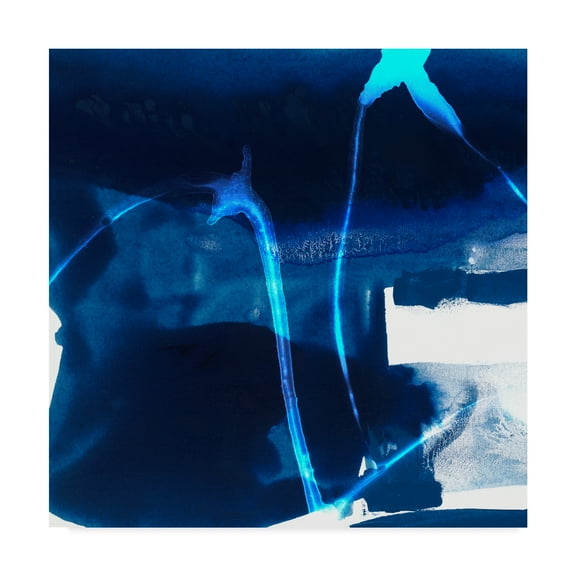 Trademark Fine Art 'Tidal Atmosphere I' Canvas Art by Sisa Jasper