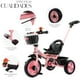 thumbnail image 2 of Triciclo Tipo Carreola Shendy Vendy Portatil Plegable Reclinable 2 En 1, 2 of 8