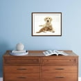 thumbnail image 5 of Yellow Labrador Puppy and Ginger Kitten, Animals Framed Art Print Wall Art by Mark Taylor Sold by Art.Com, 5 of 6