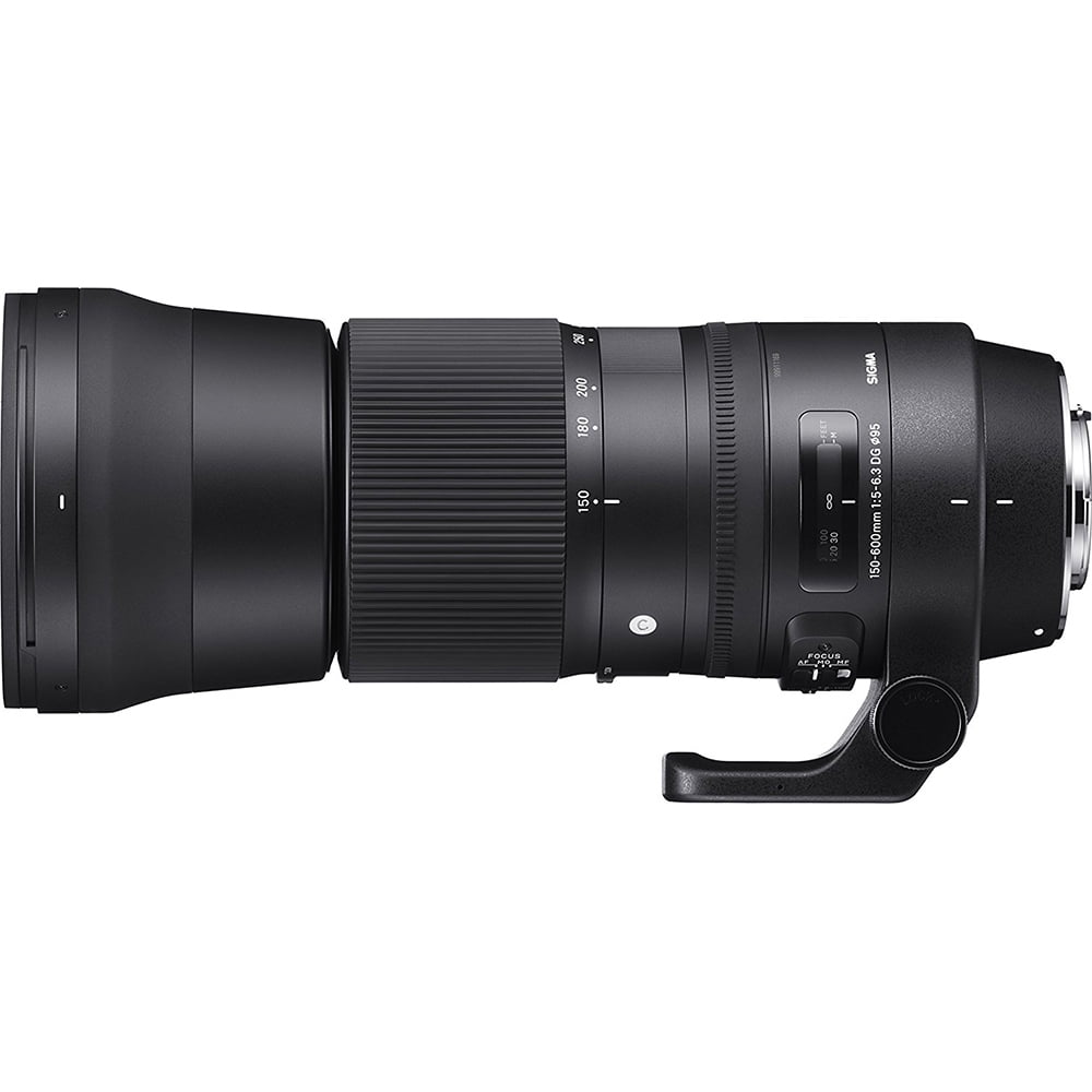 SIGMA - sigma 150-600㎜ contemporary Nikon Amazon.com : Sigma 150-600mm f/5-6.3 DG OS HSM Contemporary