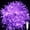 Purple, variant on Christmas Fairy Lights Christmas Tree Fairy Lights, 10M 80 LED Christmas Tree String Lights Decorative Christmas Lights USB