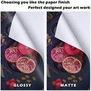 Koala Glossy Sticker Paper for Inkjet Printer 8.5x11 Inch Self-Adhesive Photo Paper 50 Sheets, Printable Sticker Paper for Printers DIY Photo Stickers, Labels, Decors