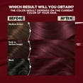 thumbnail image 6 of Garnier Nutrisse Ultra Nourishing Hair Color Creme, BR2 Dark Intense Burgundy, 1 Kit, 6 of 10