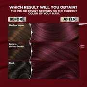 Garnier Nutrisse Ultra Nourishing Hair Color Creme, BR2 Dark Intense Burgundy, 1 Kit