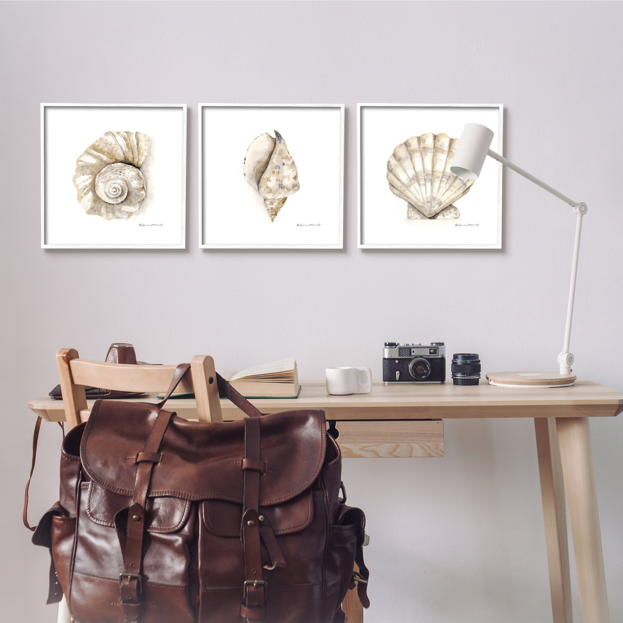 Stupell Industries Soft White Patterned Seashells Nautical Natural Neutrals, 17 x 17,Design by Stephanie Workman Marrott