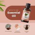 thumbnail image 3 of Cedarwood Essential Oil, 100% Pure Natural Undiluted, Cedar Wood Oil for Hair Care, Skin Care & Aromatherapy Diffuser, Soothes Sore Muscles by White Naturals, 3 of 7