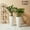 White, variant on 12" Round Planter Resin Vase for Indoor Outdoor Porch/Patio with Drainage Holes Modern Decor for Flowers, Interior Plants - Blue