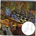 thumbnail image 4 of Raindrops Decorative Clear Turtle Tank Platform for Climbing Basking and Aquarium Landscaping, 4 of 8