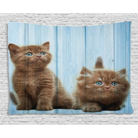Animal Decor Tapestry, Baby Kitten Siblings Lovely Animals Creatures Best Friend Artwork Print, Wall Hanging for Bedroom Living Room Dorm Decor, 60W X 40L Inches, Caramel Sky Blue, by