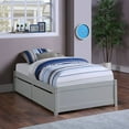 thumbnail image 1 of SEGMART Twin Bed Frame, Kids Wood Platform Bed Frame Bedroom Furniture, Wood Slat Support Mattress Foundation, Modern Wood Daybed for Kids Teens Adults, Grey, SS1307, 1 of 9