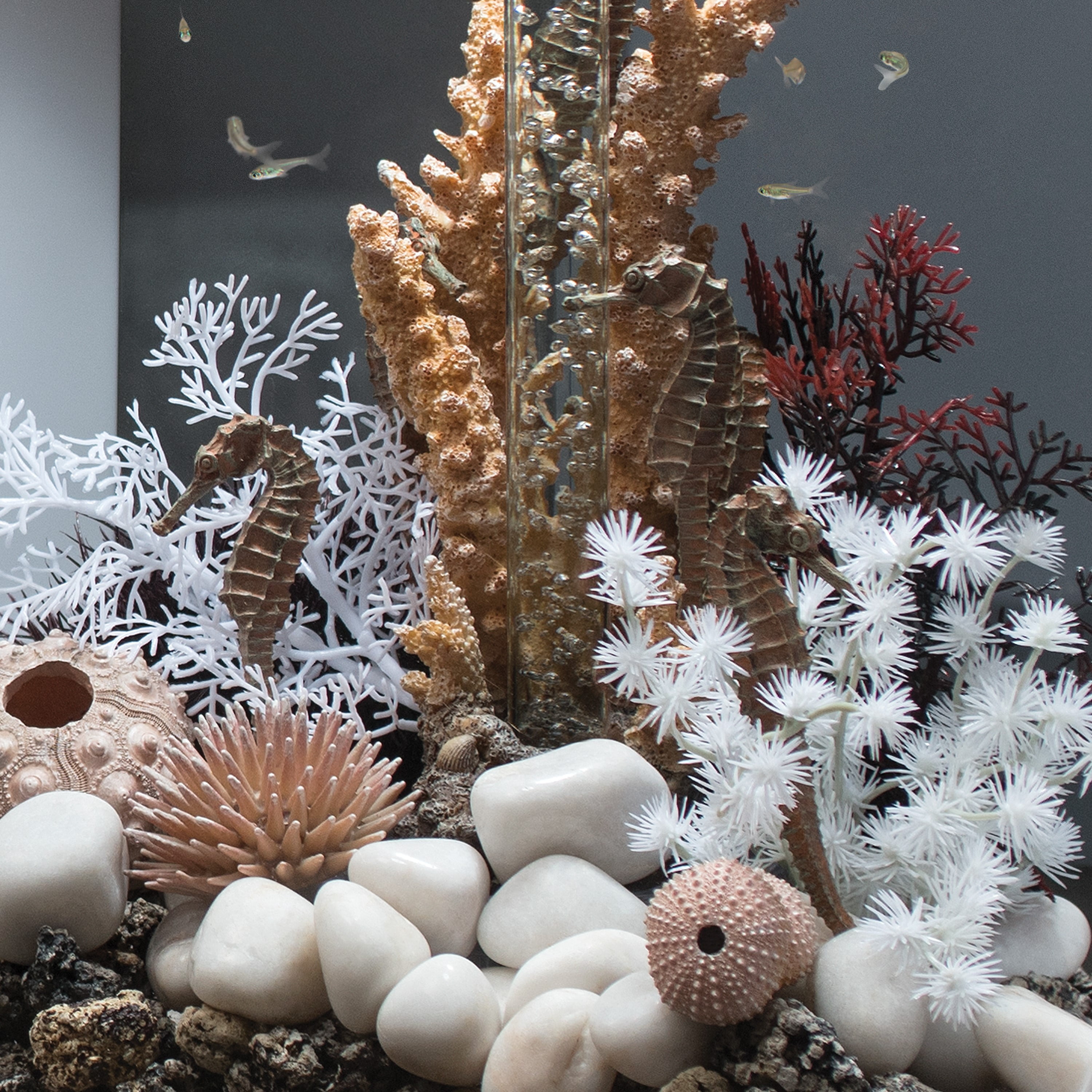 biOrb Aquarium Décor Sea Urchins Set of 3 - Ceramic, Natural