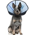 thumbnail image 3 of Calm Paws Collier de Récupération pour Chien, Moyen, 3 of 3