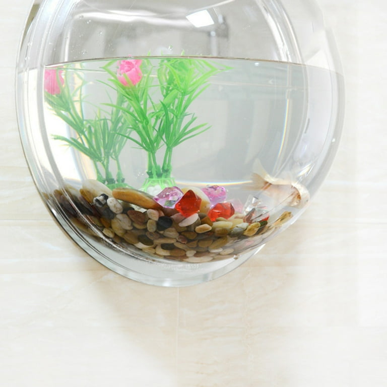 Wall mounted goldfish bowl cheap