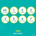 thumbnail image 2 of Pañales desechables para bebés Pampers, tamaño 6 (más de 15 kg) 84, 2 of 10