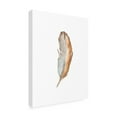 thumbnail image 2 of Trademark Fine Art 'Bird Life VI' Canvas Art by Ethan Harper, 2 of 3