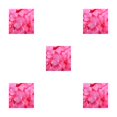 thumbnail image 3 of Qarigey 100 piezas de tela de pétalos de flores de rosa reutilizables artificiales decoración romántica flores falsas para compromiso púrpura rojo Type2 NO2 Qarigey CBP105735, 3 of 4
