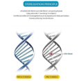 thumbnail image 2 of E27 2385 SMD LED Sterilize 250nm UV-C Light Germicidal UV Bulb Lamp Disinfection, 2 of 5