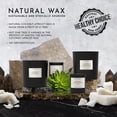 thumbnail image 3 of 55oz Blonde Woods | Rose | Black Fig Candle (Inspired by The EDITION Hotel&reg;), 3 of 10