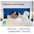 thumbnail image 2 of Kickoff 100% Bamboo Viscose Pillowcases , King, Cooling Breathable, Hidden Zipper, Bedding Pillow Covers for Hot Sleepers (2 Pack, King 20"x40", Coastal Blue), 2 of 5