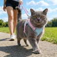 thumbnail image 1 of Escape Proof Cat Harness And Leash Adjustable Soft Mesh Vest With Reflective Strips For Walking, 1 of 4