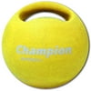 4 kg Medicine Ball with Handle