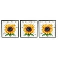 thumbnail image 2 of Stupell Industries Love Grows Here Phrase Yellow Sunflowers Honey Bees Graphic Art Gray Framed Art Print Wall Art Set of 3, 12x12, by Elizabeth Tyndall, 2 of 5